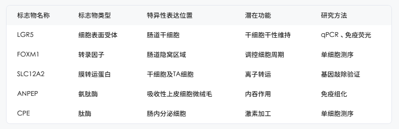 1772270124151434.png image.png