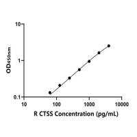 大鼠组织蛋白酶S(CTSS)ELISA试剂盒
