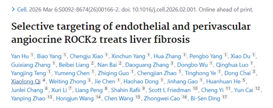 CELL IF=42.5丨重磅！靶向血管微环境中的ROCK2，为肝纤维化治疗带来新突破