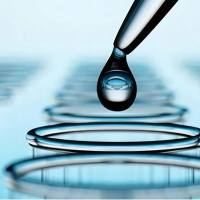 类器官生物标志物检测