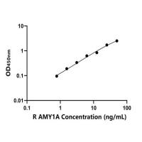 大鼠唾液淀粉酶α1(AMY1A)ELISA试剂盒