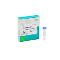 100×Proteinase K (20mg/ mL)