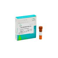Annexin V-PE Reagent