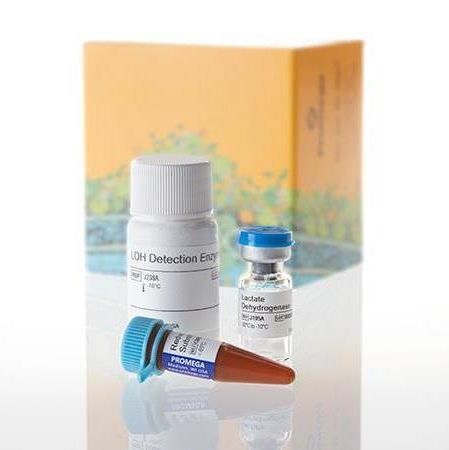 LDH-Glo™ 细胞毒性检测系统