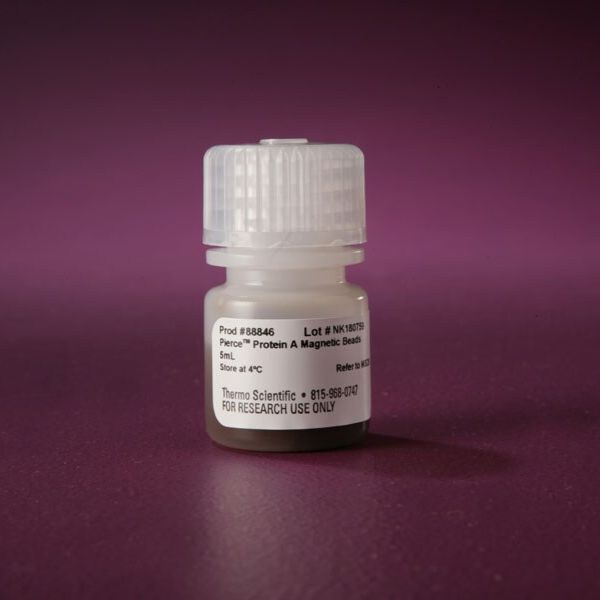 88845/88846  Pierce™ 蛋白 A 磁珠  Pierce Protein A Magnetic Beads