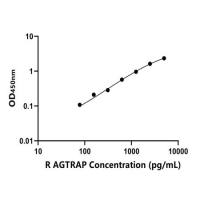 大鼠血管紧张素Ⅱ受体关联蛋白(AGTRAP)ELISA试剂盒