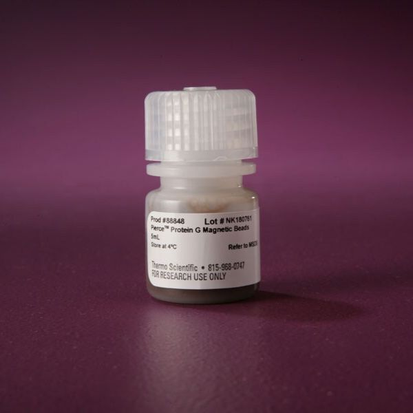 88847/88848  Pierce™ 蛋白 G 磁珠