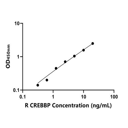 大鼠CREB结合蛋白(CREBBP)ELISA试剂盒产品图