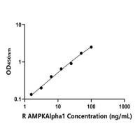 大鼠AMP激活蛋白激酶α1(AMPKAlpha1)ELISA试剂盒