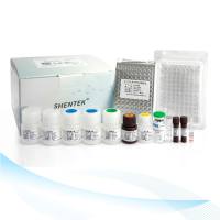 重组鲎试剂(重组级联rCR)