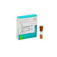 Annexin V-FITC Reagent