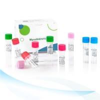 支原体qPCR检测试剂盒（PCR-荧光探针法）