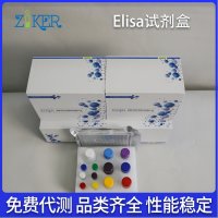 人胰高血糖素样肽（GLP）ELISA含量检测试剂盒