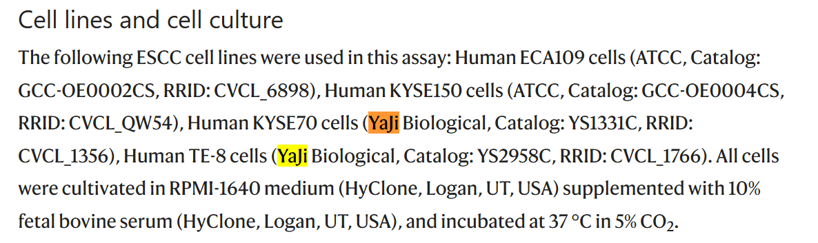 文献引用产品：KYSE70人食管鳞癌细胞