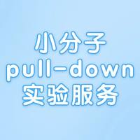 小分子pull-down实验技术服务