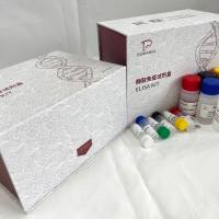 斑马鱼(Zebrafish)基质金属蛋白酶2(MMP-2)ELISA检测试剂盒(测酶活)