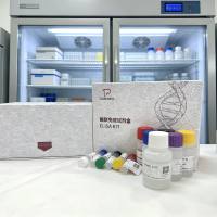 植物（Plant）三磷酸腺苷（ATP）ELISA检测试剂盒