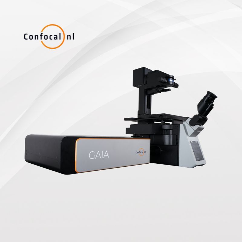 GAIA 超分辨率点重扫共聚焦显微镜
