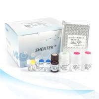 E.coli表达菌HCP残留检测试剂盒（ELISA法）