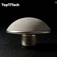 多孔钛曝气头 φ100×125×30 污水处理 / 电解水制氢用