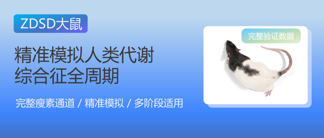人类糖尿病进程的“完美替身”：2型糖尿病大鼠模型ZDSD