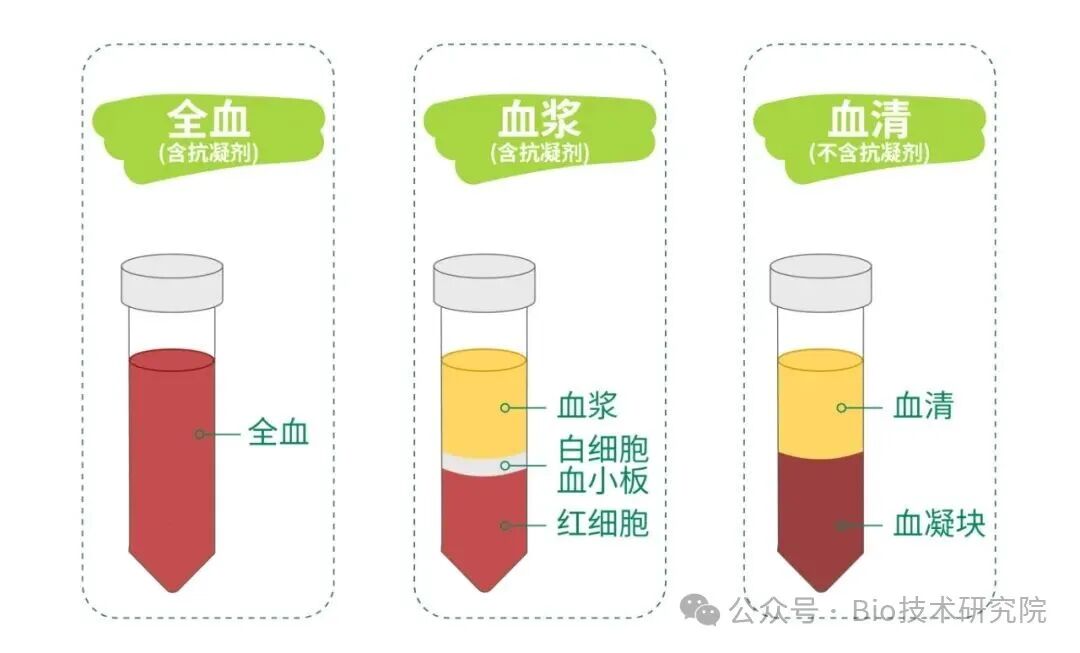 「ELISA问诊室」好奇！ELISA实验中血液样品该怎么处理？3分钟攻略一键收藏