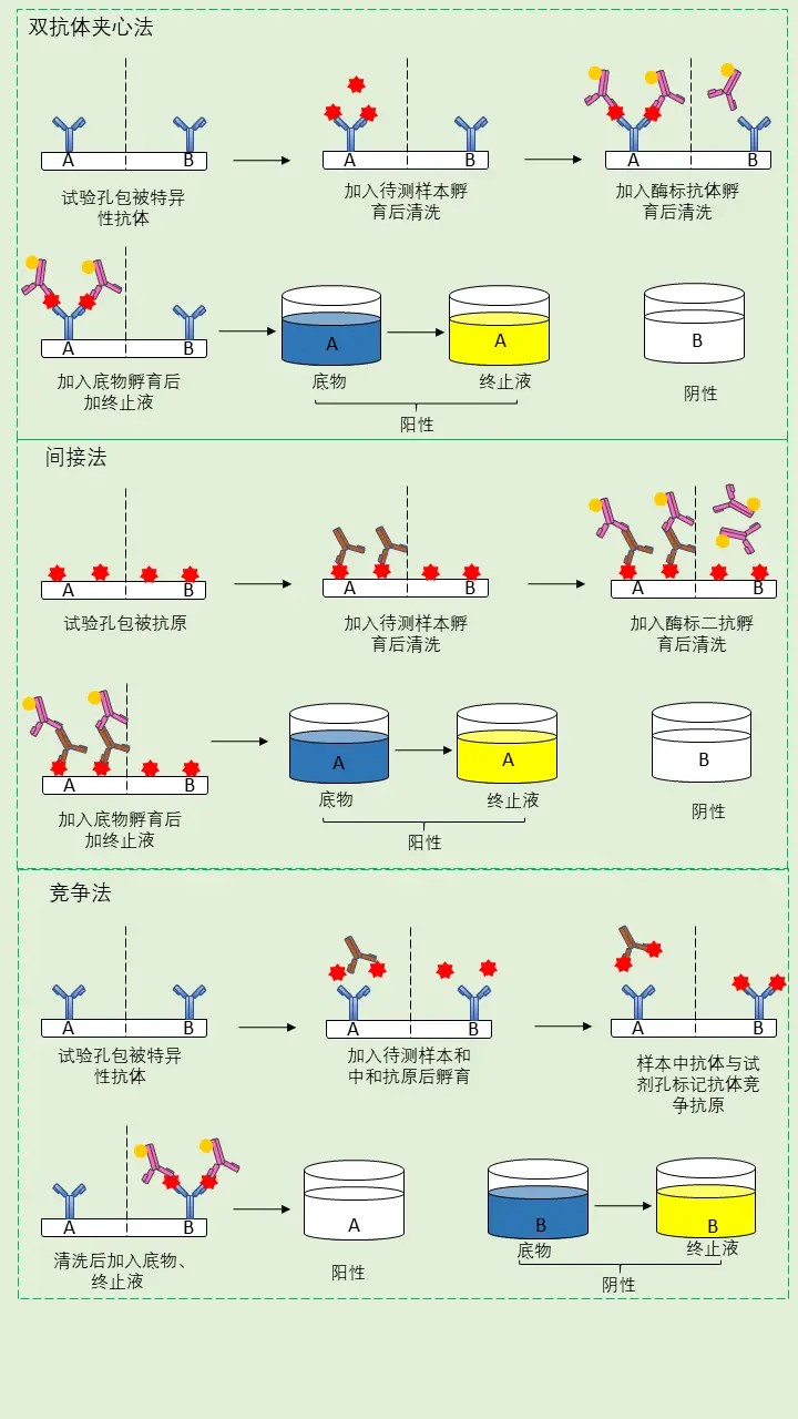 新闻图片2