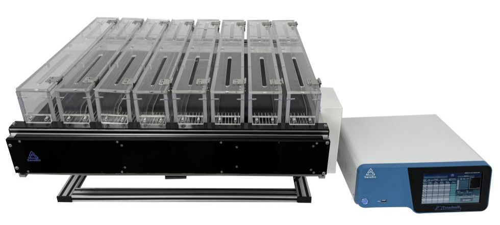 SA101Pro大小鼠跑步机：已被多项高水平研究验证的运动生理实验仪器