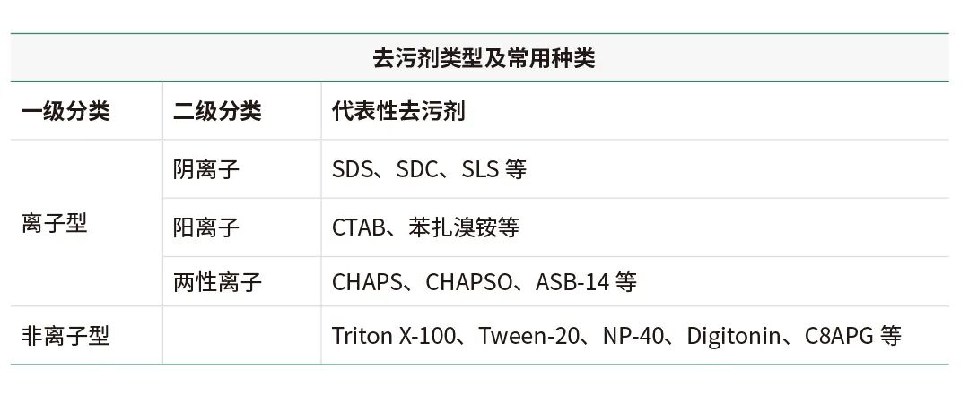 「WB急救室」揭秘裂解液的“破膜先头兵”，深入了解去污剂种类及作用机制