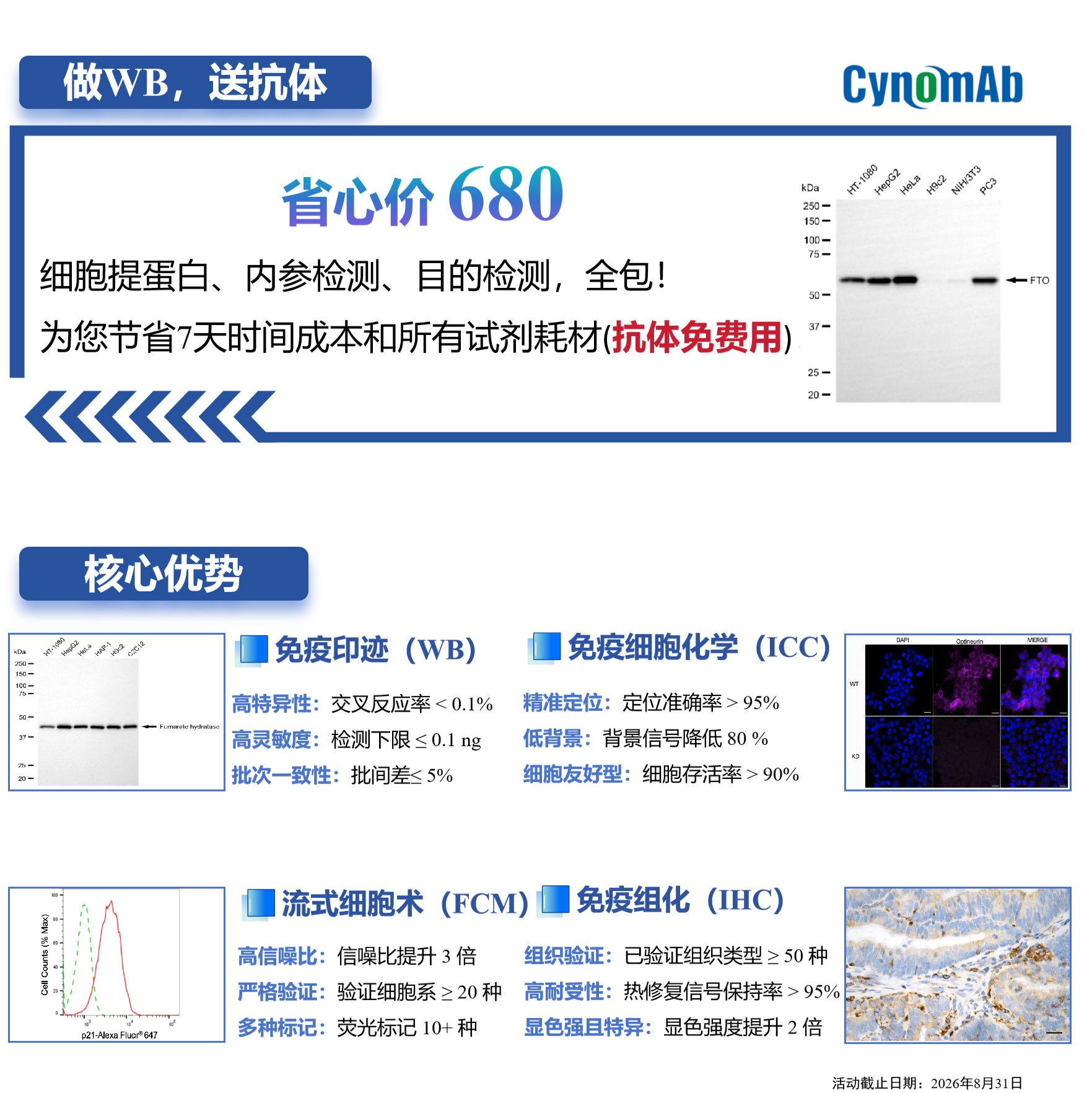 赛诺克生物推出抗体服务新范式:680元“做WB送抗体”,用硬核参数定义国产替代新标准