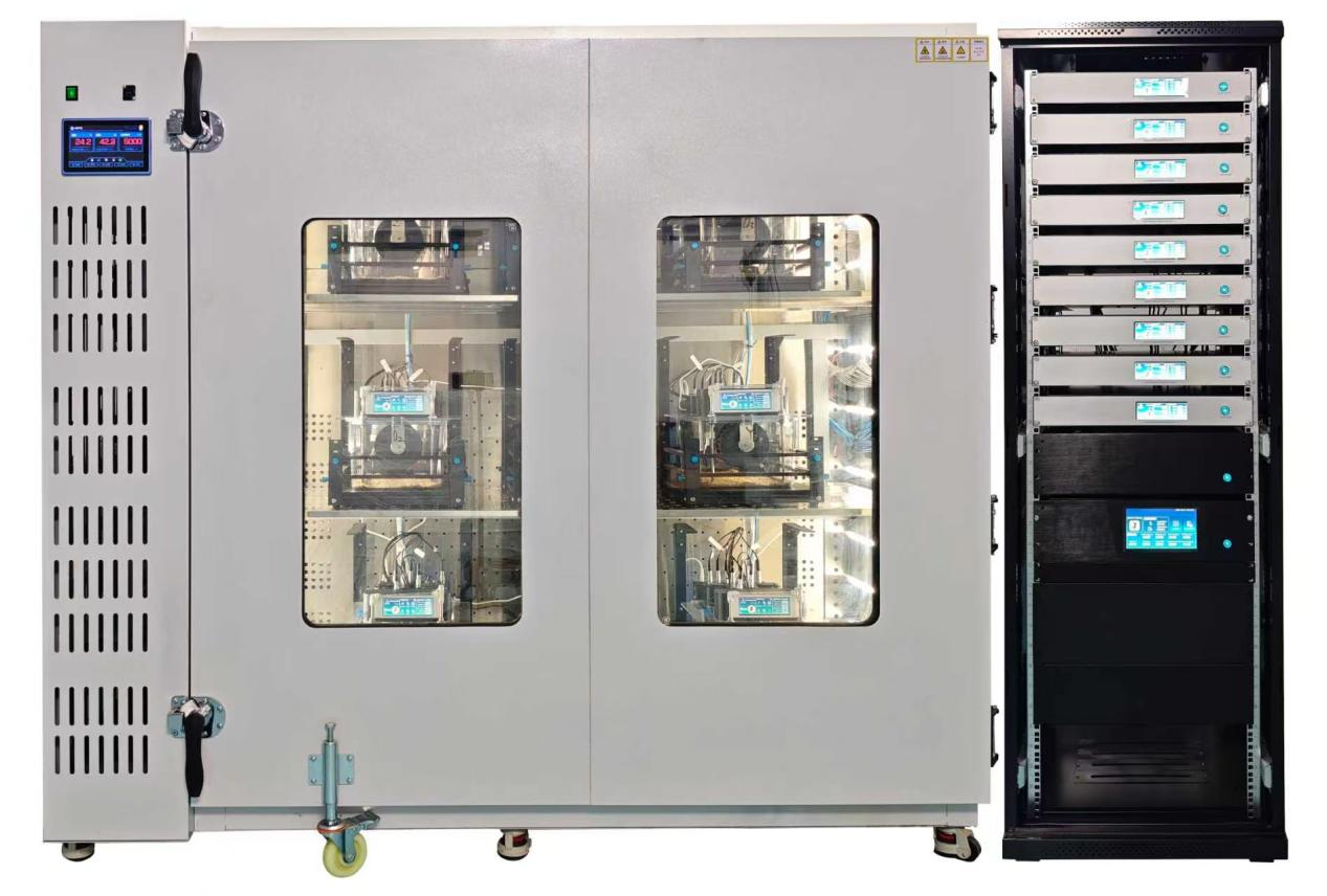 小动物能量代谢监控系统：高精度生理功能评估解决方案