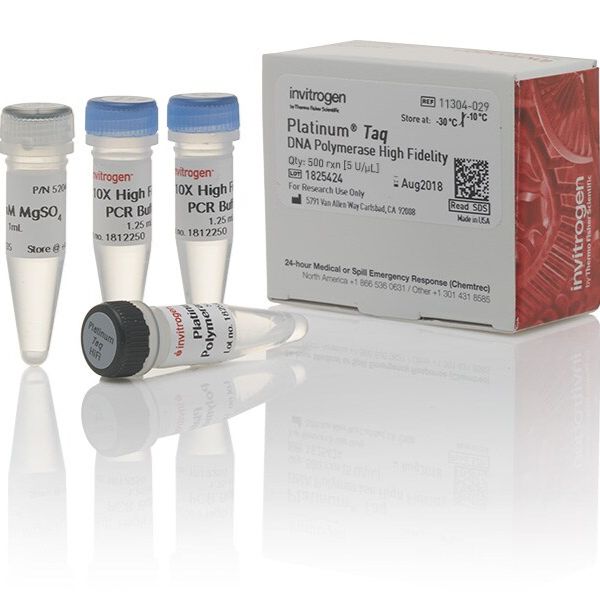 11304029  Platinum™ Taq 高保真 DNA 聚合酶