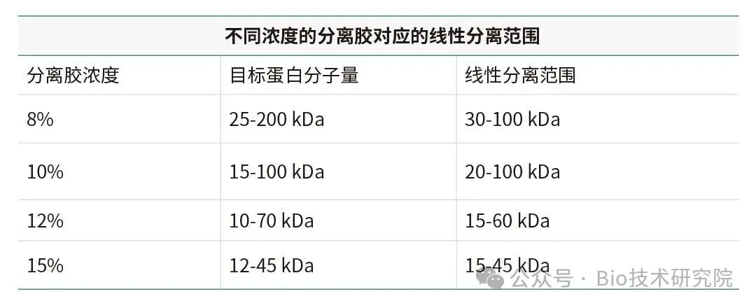 「WB急救室」解决电泳实验难题！10%、12%、15%凝胶浓度对应分子量对照表
