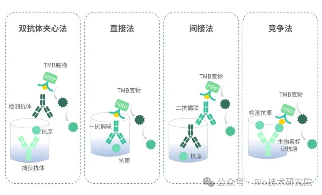 「ELISA问诊室」四种类型大PK：直接法、间接法、夹心法、竞争法，谁是你的最佳？