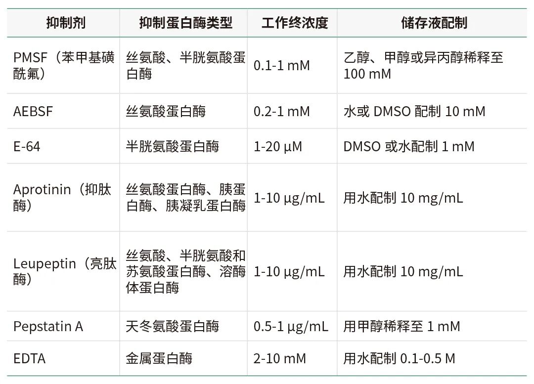 「WB急救室」裂解液“三部曲”最后一篇：揭秘缓冲体系与蛋白酶抑制剂！