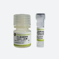 BioShuttle siRNA/miRNA体外转染试剂