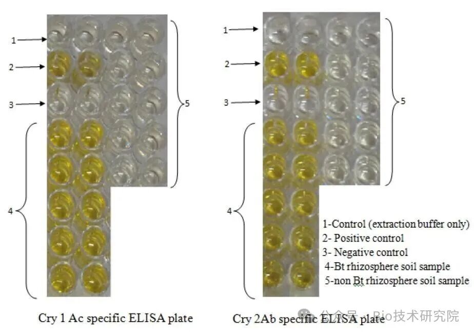 「ELISA问诊室」空白、阳性、阴性对照一次讲透，ELISA数据靠谱的秘诀！