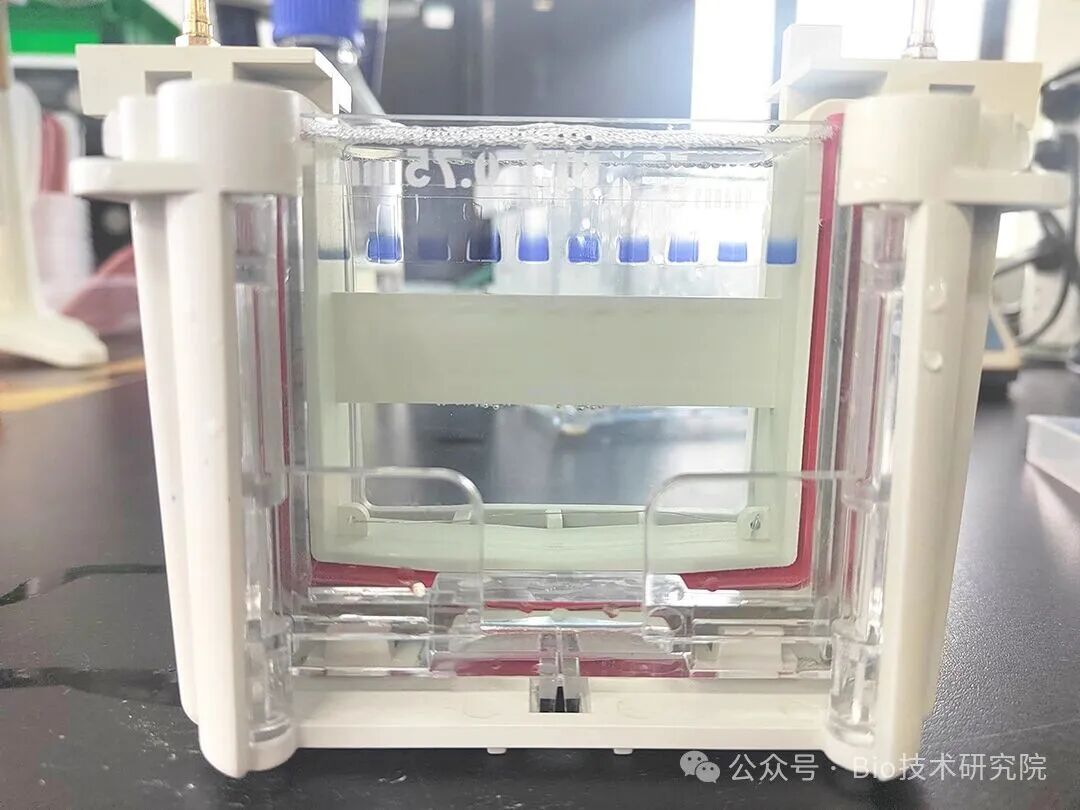 「WB急救室」99%的实验者可能踩过的SDS-PAGE凝胶八大“雷区”，灵活选择提前配制或现用现配！