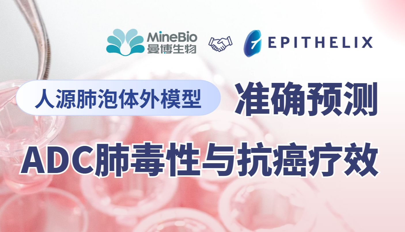 Epithelix｜人源肺泡体外模型解锁ADC肺毒性预测【曼博生物官方代理】