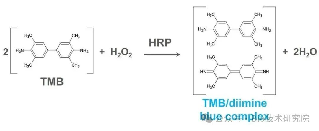 「ELISA问诊室」分享HRP-TMB显色系统原理，让ELISA结果可预测可重复