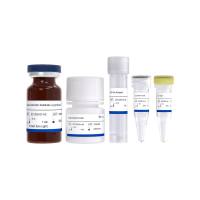 ADP-Lite Kinase Assay