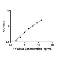 大鼠酪氨酸3/色氨酸5单加氧酶激活蛋白ζ(YWHAz)ELISA试剂盒