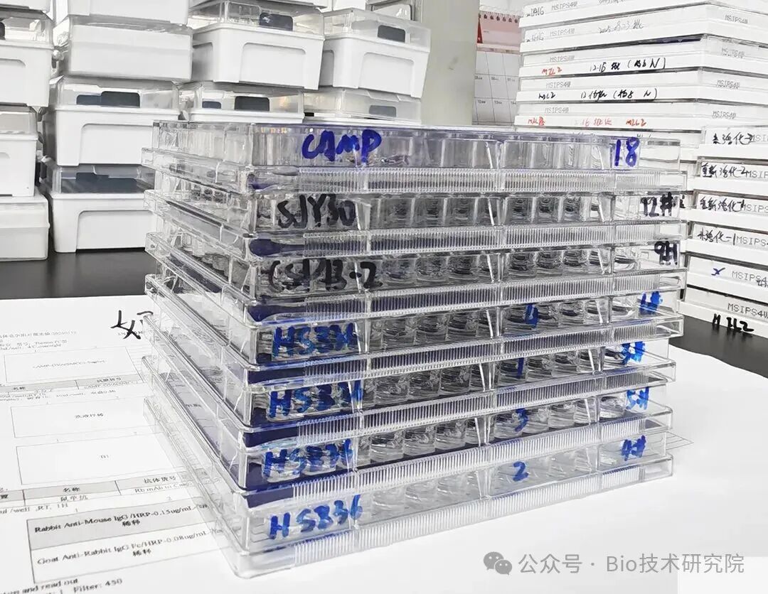 「ELISA问诊室」开端不迷茫：从包被缓冲液到特殊抗原，科研老司机总结的翻车自救指南！