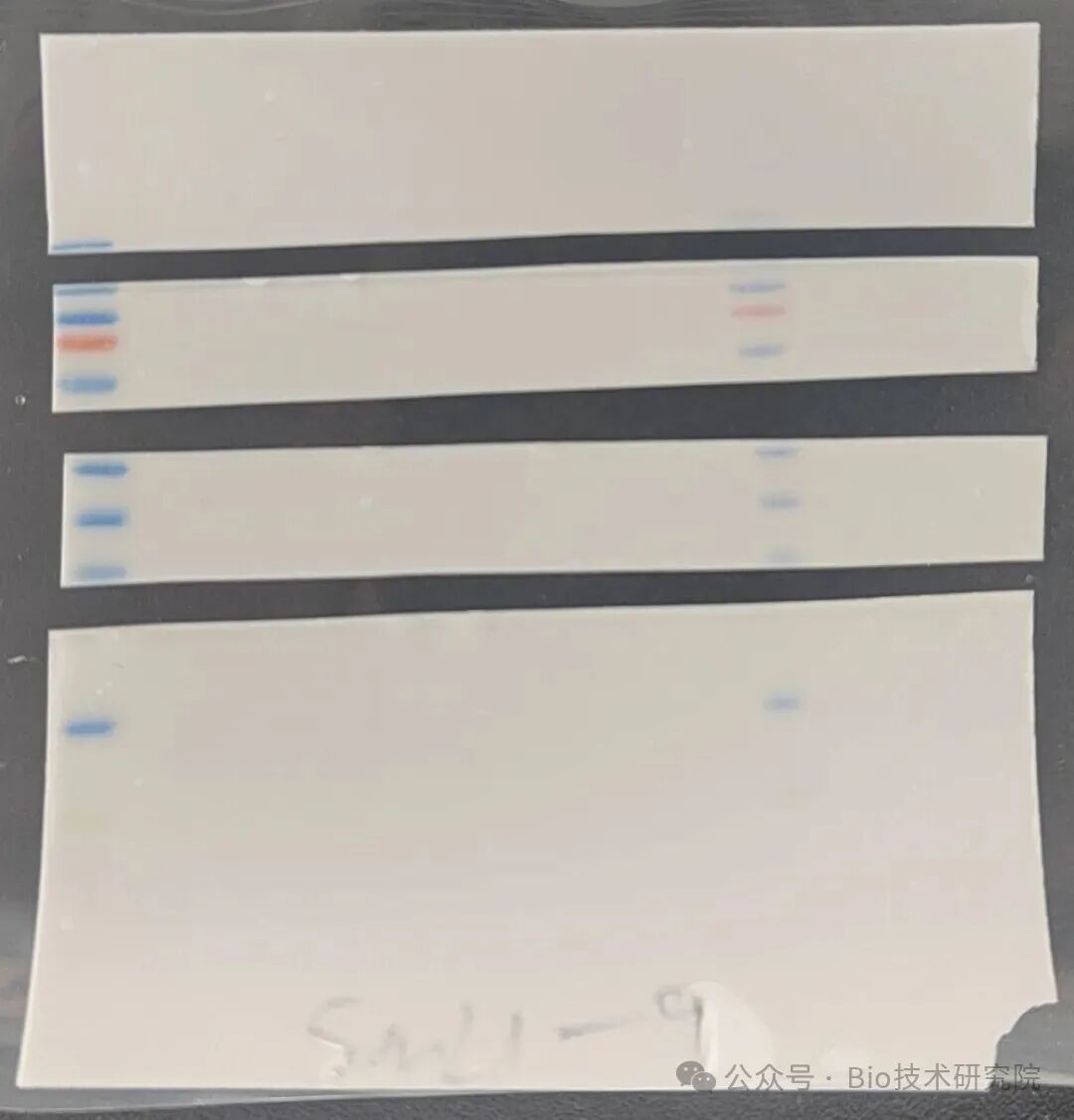 「WB急救室」不再一脸懵！裁膜VS整膜，手把手教你搞定期刊投稿难题！