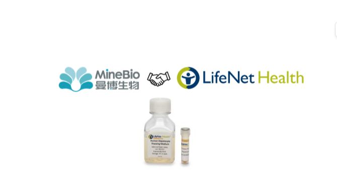 LifeNet Health｜人原代肝细胞PHH中国区代理-曼博生物