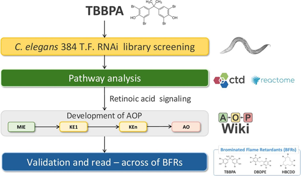 WMicrotracker小动物活动力分析系统文章分享，韩国大学学者发表在Toxicology “In vivo high-throughput toxicity screening of brominated flame retardants using a Caenorhabditis elegans transcription factor RNAi platform” 报告