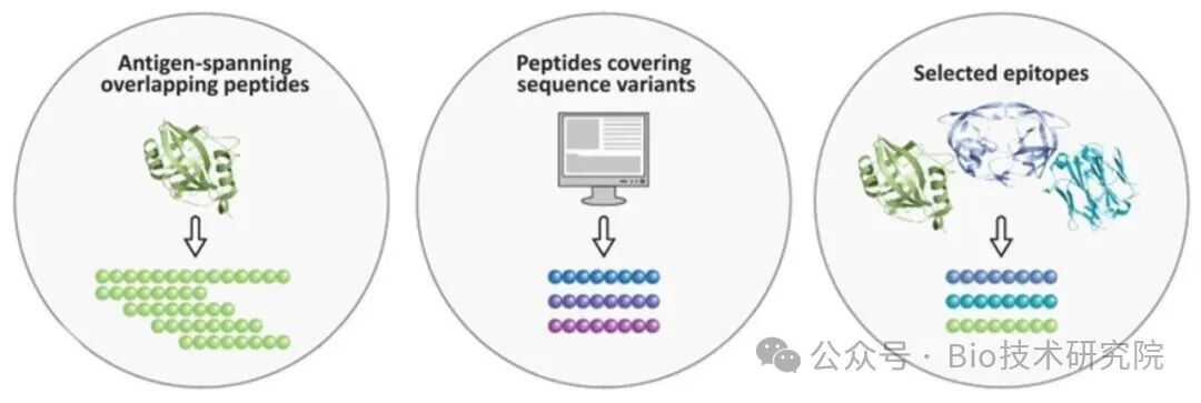 你以为细胞刺激很简单？ELISpot实验刺激物暗藏玄机