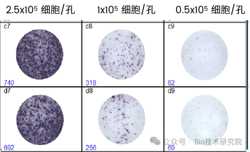 细胞活率低于90%，ELISpot基本白做！斑点异常全解析，3招拯救你的结果