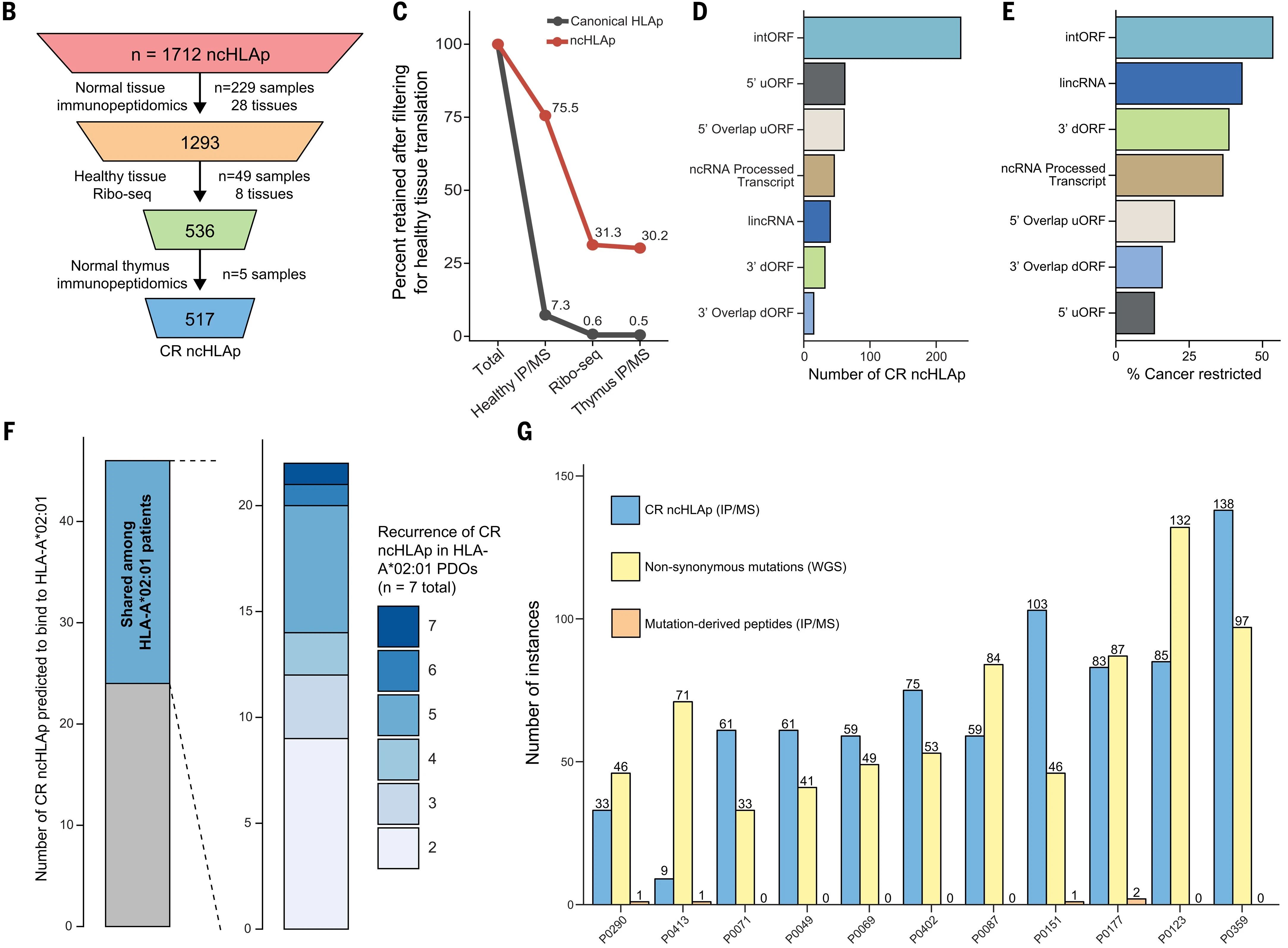 聚焦翻译水平的数据分析管线筛选PDAC限制性隐秘抗原