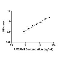 兔血管细胞粘附分子1(VCAM1)ELISA试剂盒